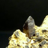 Cuarzo (variedad morión)
Cristal de 5 x 4 mm.
(Autor: Felipe Abolafia)
