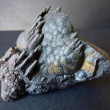 Goethita
6 x 5 cm.
(Autor: javier ruiz martin)