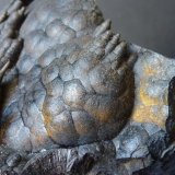Goethita
6 x 5 cm.
(Autor: javier ruiz martin)
