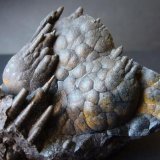 Goethita
6 x 5 cm.
(Autor: javier ruiz martin)
