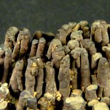 Criptomelana
5 x 3,5 x 2 cm.
(Autor: Felipe Abolafia)