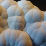 Hidrozincita
6 x 5 cm.
(Autor: javier ruiz martin)
