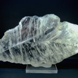 Yeso
21 x 10,5 x 1,5 cm.
(Autor: Felipe Abolafia)
