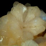 Fluorapofilita-(K) y Estilbita-Ca
6 x 6 x 5 cm.
(Autor: Felipe Abolafia)