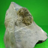Pirita
8 x 8 x 6 cm.
(Autor: Felipe Abolafia)