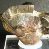 Goethita
3 x 2,5 x 1,5 cm.
(Autor: Felipe Abolafia)