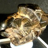 Goethita
3 x 2,5 x 1,5 cm.
(Autor: Felipe Abolafia)