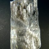 Yeso
8 x 3 x 1,5 cm.
(Autor: Felipe Abolafia)