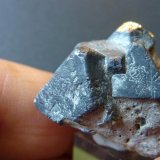 Galena
3,5 x 2 cm
(Autor: javier ruiz martin)