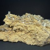 Celestina
17 x 6 x 6 cm.
(Autor: Felipe Abolafia)