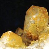 Celestina
10 x 3,5 x 4 cm.
(Autor: Felipe Abolafia)