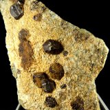 Goethita pseudo Pirita
4,5 x 6 x 3 cm.
(Autor: Felipe Abolafia)