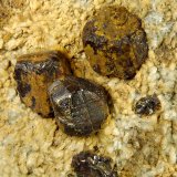 Goethita pseudo Pirita
4,5 x 6 x 3 cm.
(Autor: Felipe Abolafia)