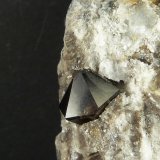 Cuarzo (variedad morión)
2,5 x 5,5 x 2 cm.
(Autor: Felipe Abolafia)