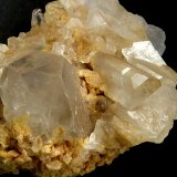 Celestina
4,5 x 3 x 2,5 cm.
(Autor: Felipe Abolafia)