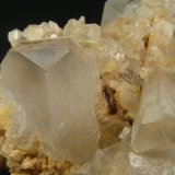 Celestina
4,5 x 3 x 2,5 cm.
(Autor: Felipe Abolafia)