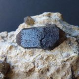 Cuarzo (variedad ahumado)
1,5 x 0,5 cm.
(Autor: javier ruiz martin)