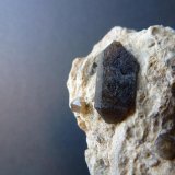 Cuarzo (variedad ahumado)
1,5 x 0,5 cm.
(Autor: javier ruiz martin)