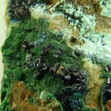 Clinoclasa
6 x 3,5 x 3 cm.
(Autor: Felipe Abolafia)