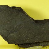 Lignito
13 x 7 x 2,5 cm.
(Autor: Felipe Abolafia)