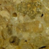 Conglomerado
9 x 6,5 x 3 cm.
(Autor: Felipe Abolafia)