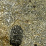 Esquisto con cloritoide y granate
11 x 12 x 3 cm.
(Autor: Felipe Abolafia)