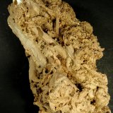 Toba calcárea
10 x 5 x 4 cm.
(Autor: Felipe Abolafia)