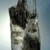 Yeso
8 x 3 x 1,5 cm.
(Autor: Felipe Abolafia)