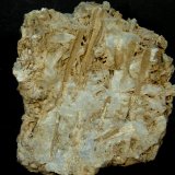 Celestina
7 x 8 x 5 cm.
(Autor: Felipe Abolafia)