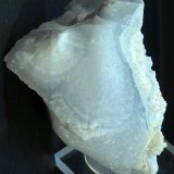 Celestina
5 x 3 x 3 cm.
(Autor: Felipe Abolafia)