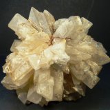 Celestina
8 x 8 x 6 cm.
(Autor: Felipe Abolafia)