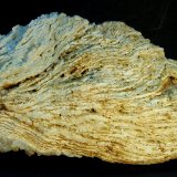 Celestina
14 x 7 x 5 cm.
(Autor: Felipe Abolafia)