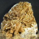 Celestina
12 x 12 x 6 cm.
(Autor: Felipe Abolafia)