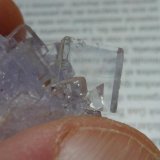 Fluorita
4 x 3 cm.
(Autor: javier ruiz martin)