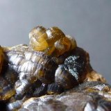 Siderita sobre Cuarzo (variedad calcedonia) y Greenalita
8 x 5 cm.
(Autor: javier ruiz martin)