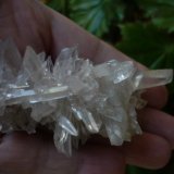 Cuarzo
8,3 cm x 4 cm x 3,5 cm
(Autor: Tomas Ruiz de Arbulo Saez)