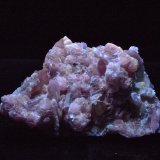 9 x 6 x 3,5 cm
(Autor: Josele)