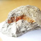 Ámbar
4,5 x 0,6 cm.
(Autor: Tomas Ruiz de Arbulo Saez)