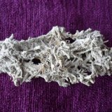 toba
12 cm x 5,5 cm x 4 cm.
(Autor: Tomas Ruiz de Arbulo Saez)