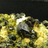 Epidota y Andradita (variedad melanito)
7 x 4 cm.
(Autor: Felipe Abolafia)