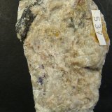 Diasporo
6 x 3 x 2 cm.
(Autor: Felipe Abolafia)
