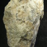 Diasporo
6 x 3 x 2 cm.
(Autor: Felipe Abolafia)