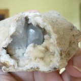 Celestina
7 x 7 x 4 cm.
(Autor: Tomas Ruiz de Arbulo Saez)