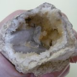 Celestina
7 x 6 x 5 cm.
(Autor: Tomas Ruiz de Arbulo Saez)