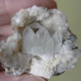 Celestina
4 x 3,5 x 2 cm.
(Autor: Tomas Ruiz de Arbulo Saez)