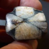 Andalucita (variedad Quiastolita)
3 x 3 cm.
(Autor: javier ruiz martin)
