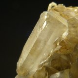 Celestina
10 x 6 x 3 cm.
(Autor: Felipe Abolafia)