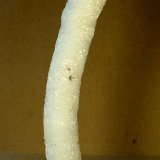 Celestina
9 x 1,5 cm.
(Autor: Felipe Abolafia)