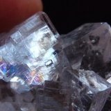 Fluorita
4 x 4 cm.
(Autor: javier ruiz martin)