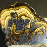 Esfalerita (variedad schalenblenda)
5 x 4,5 cm.
(Autor: Felipe Abolafia)